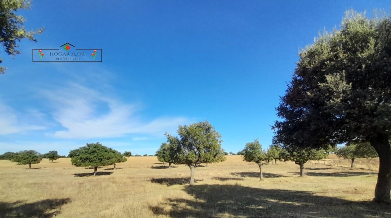 Salamanca - Carrascal del Obispo - 1672400m2