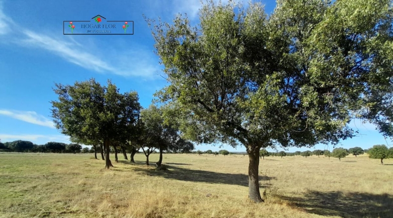 Salamanca - Carrascal del Obispo - 1672400m2