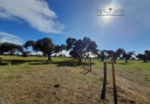 Finca rústica en venda a Carrascal del Obispo ref.: TR285335 foto
