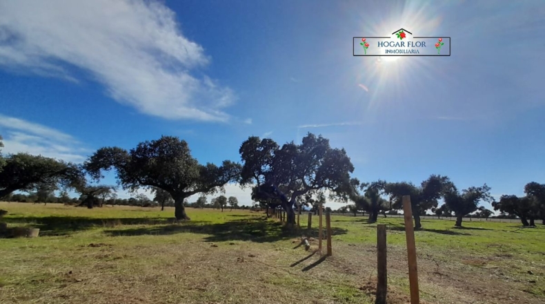 Salamanca - Carrascal del Obispo - 1672400m2