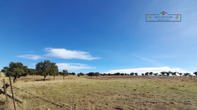 Salamanca - Carrascal del Obispo - 1672400m2