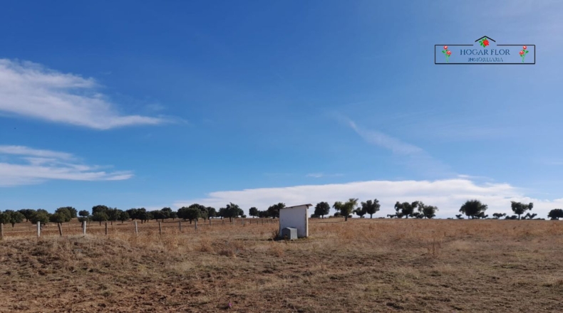 Salamanca - Carrascal del Obispo - 1672400m2