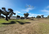 Finca rústica en venda a Carrascal del Obispo ref.: TR285335 foto