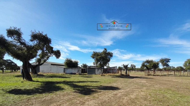 Salamanca - Carrascal del Obispo - 1672400m2
