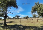 Finca rústica en venda a Carrascal del Obispo ref.: TR285335 foto