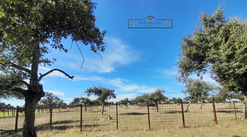 Salamanca - Carrascal del Obispo - 1672400m2