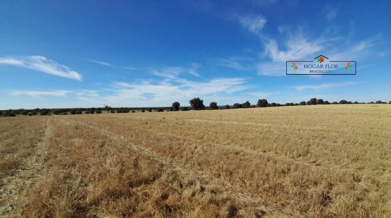Salamanca - Carrascal del Obispo - 1672400m2