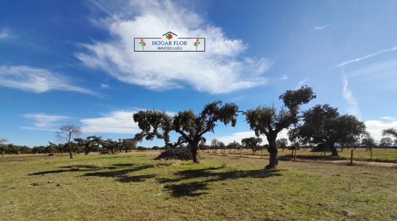 Salamanca - Carrascal del Obispo - 1672400m2