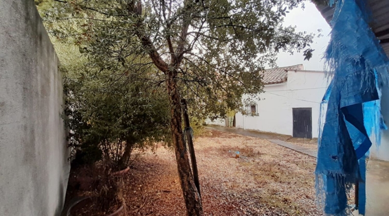 Salamanca - La Sagrada - 394m2