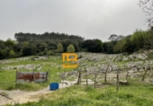 Rural estate for sale on España, Barrio, ref: TR13034 photo