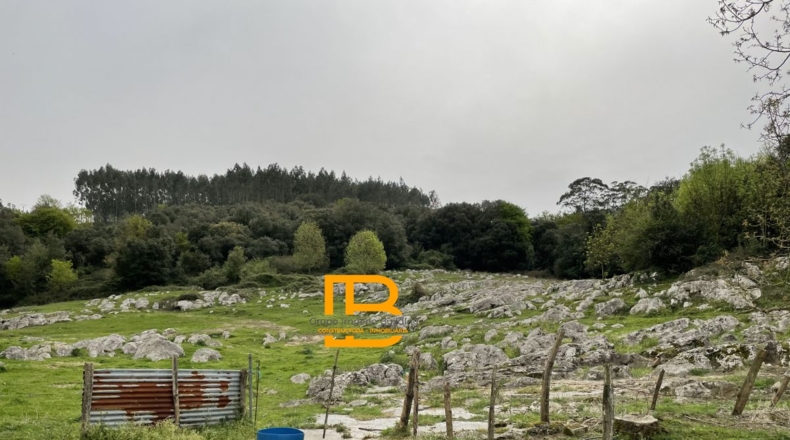 Cantabria - San Pantaleón de Aras - 17700m2