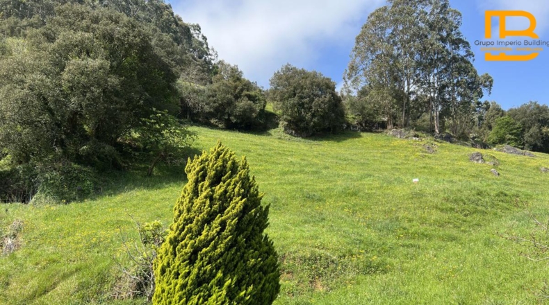 Cantabria - San Miguel de Aras - 1500m2