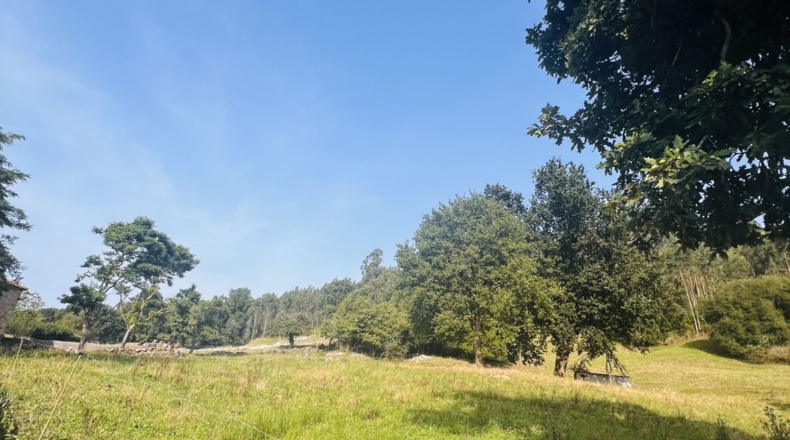 Cantabria - Bádames - 2485m2