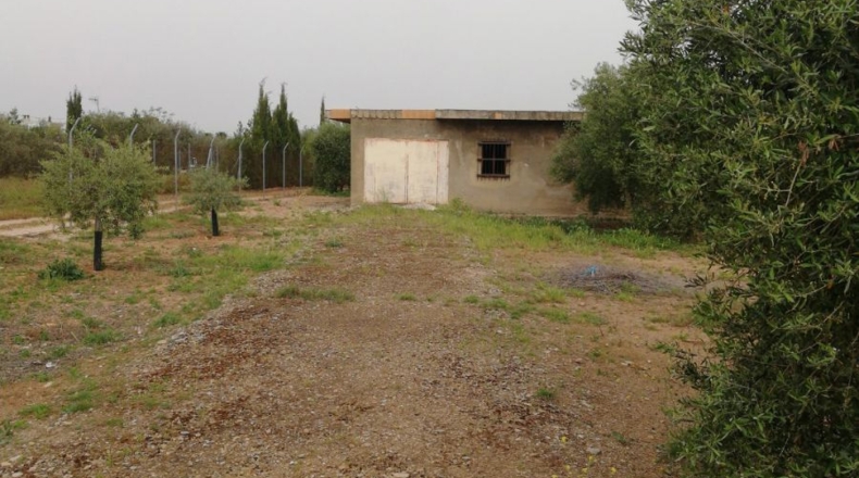 Sevilla - Marchena - 1100m2