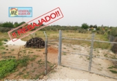 Terreny no urbanitzable en venda a Marchena ref.: TR53057 foto