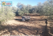 Terreny no urbanitzable en venda a Marchena ref.: TR53052 foto