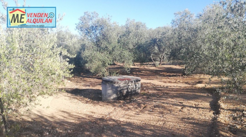 Sevilla - Marchena - 2000m2