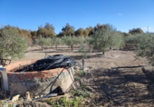 Xalet independent amb terreny en venda a La Puebla de Cazalla ref.: TR65002 foto