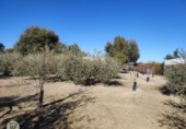 Xalet independent amb terreny en venda a La Puebla de Cazalla ref.: TR65002 foto