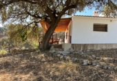 Finca rústica en venda a La Puebla de Cazalla ref.: TR89514 foto