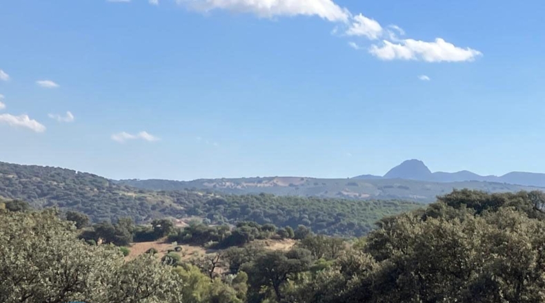 Seville - La Puebla de Cazalla - 77830m2