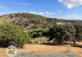 Finca rústica en venda a La Puebla de Cazalla ref.: TR89514 foto