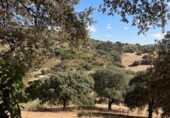 Finca rústica en venda a La Puebla de Cazalla ref.: TR89514 foto