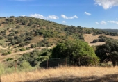 Finca rústica en venda a La Puebla de Cazalla ref.: TR89514 foto