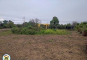 Terreny no urbanitzable en venda a La Puebla de Cazalla ref.: TR184860 foto