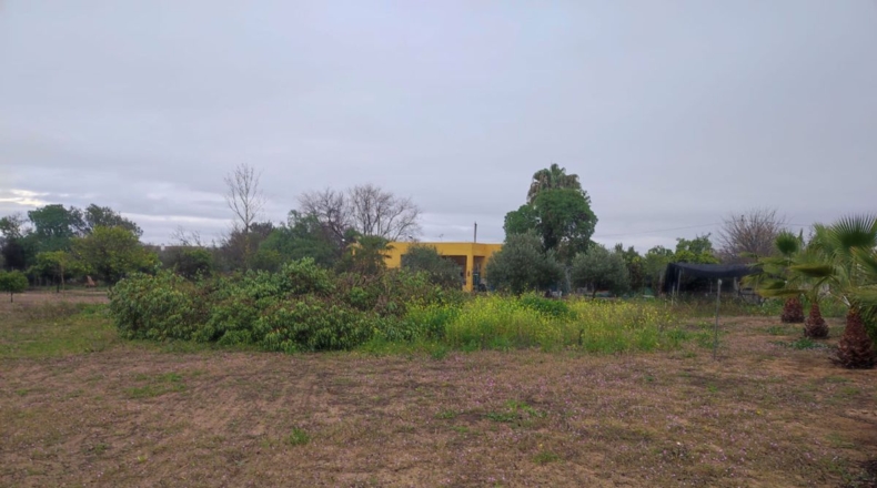 Sevilla - La Puebla de Cazalla - 3158m2