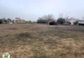 Terreny no urbanitzable en venda a La Puebla de Cazalla ref.: TR184860 foto