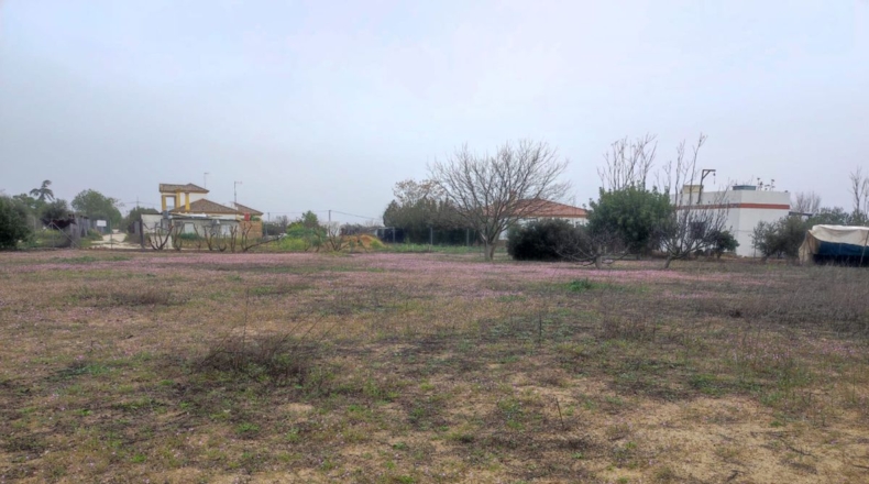 Sevilla - La Puebla de Cazalla - 3158m2