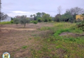 Terreny no urbanitzable en venda a La Puebla de Cazalla ref.: TR184860 foto