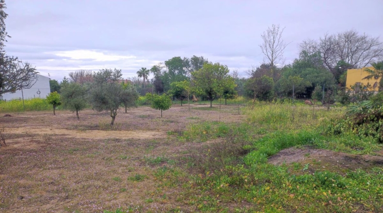 Sevilla - La Puebla de Cazalla - 3158m2