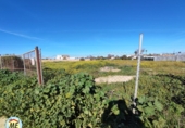 Non-developable land for sale in La Puebla del Río ref: TR102847 photo