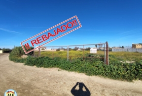La Puebla del Río 6000&nbsp;m² 