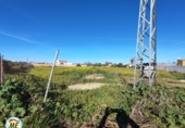 Non-developable land for sale in La Puebla del Río ref: TR102847 photo