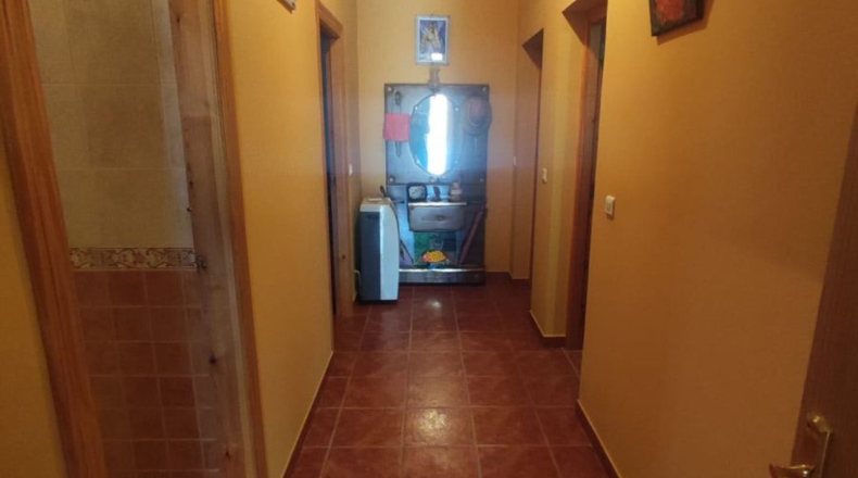 Sevilla - Marchena - 1240m2