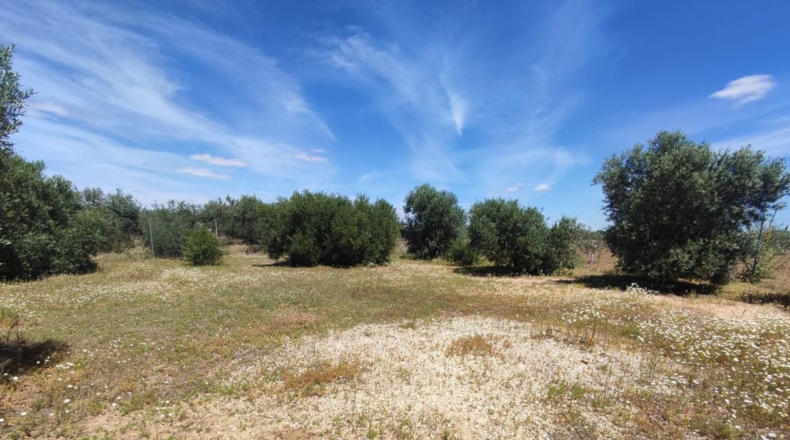 Sevilla - Marchena - 2000m2