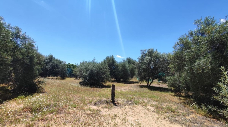 Sevilla - Marchena - 2000m2
