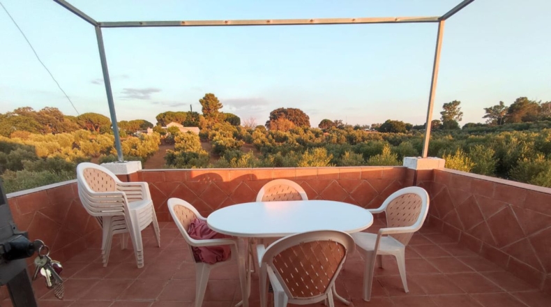 Seville - Marchena - 24666m2
