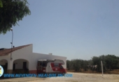 Chalet independiente con terreno en venta en Marchena ref: TR252263 foto