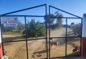 Chalet independiente con terreno en venta en Marchena ref: TR252263 foto