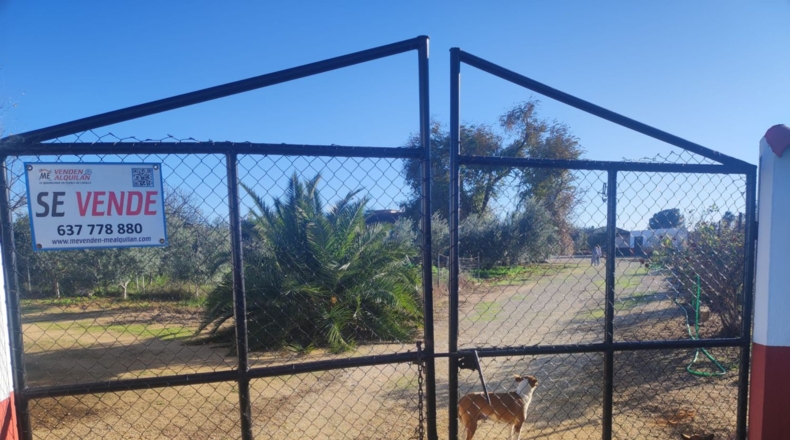 Valencia - Carlet - 3320m2