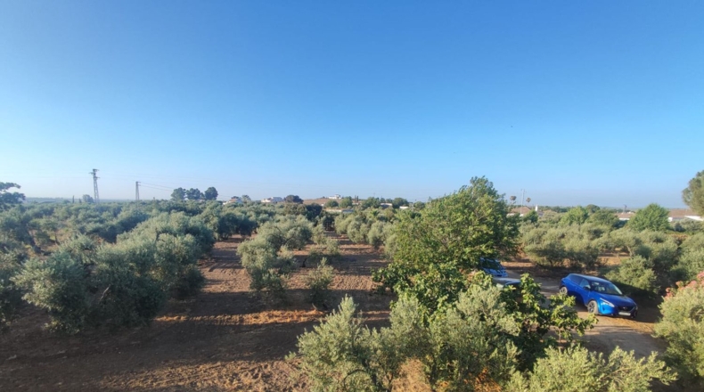 Sevilla - La Puebla de Cazalla - 6111m2