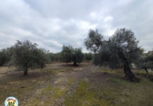 Chalet independiente con terreno en venta en La Puebla de Cazalla ref: TR372891 foto