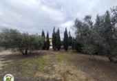 Chalet independiente con terreno en venta en La Puebla de Cazalla ref: TR372891 foto