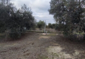 Chalet independiente con terreno en venta en La Puebla de Cazalla ref: TR372891 foto