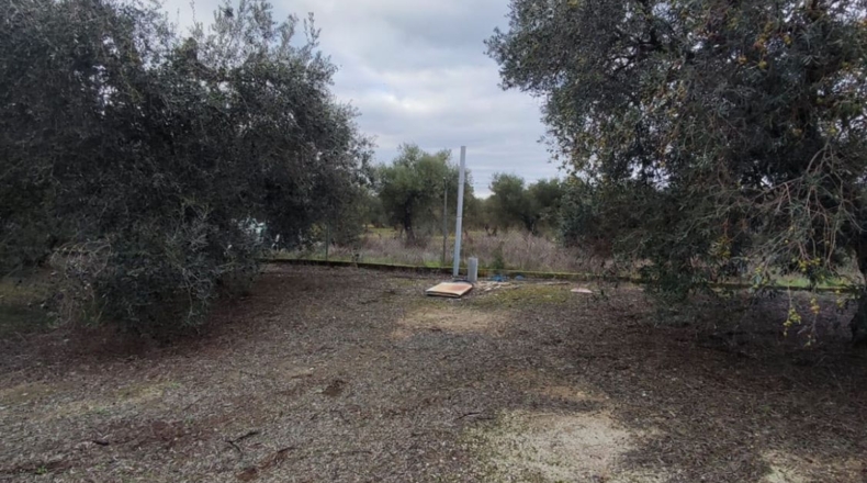 Sevilla - Ла-Пуэбла-де-Касалья - 5458m2