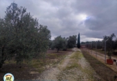 Chalet independiente con terreno en venta en La Puebla de Cazalla ref: TR372891 foto